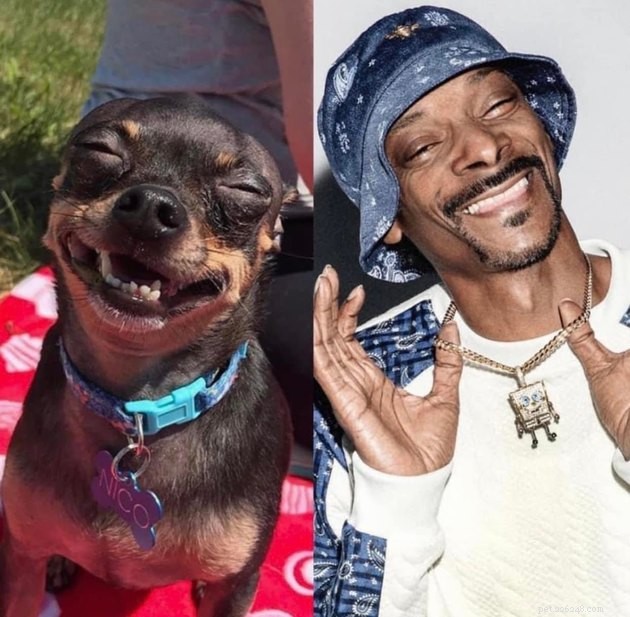 16 Adorable Pet Photos That Will Brighten Your Day