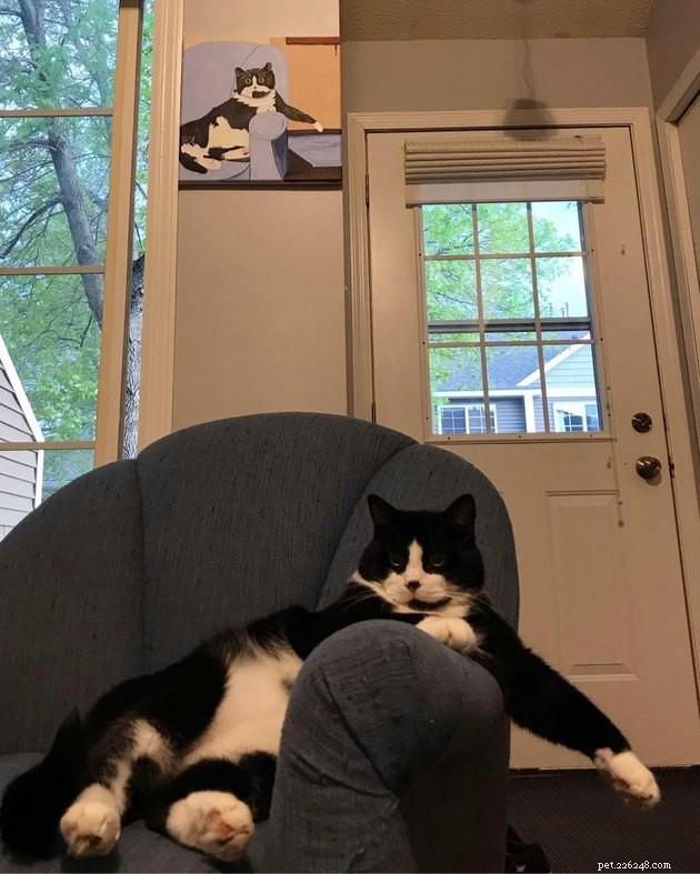 16 Adorable Pet Photos That Will Brighten Your Day