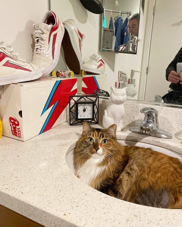 16 Adorable Pet Photos That Will Brighten Your Day