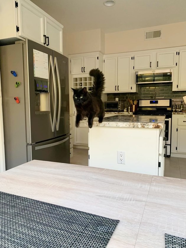 16 Adorable Pet Photos That Will Brighten Your Day