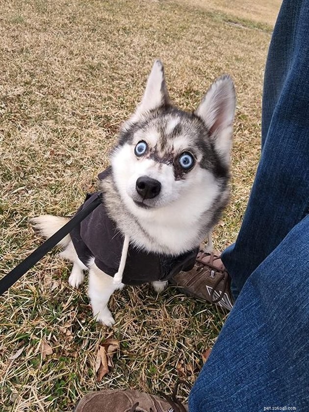 16 Adorable Pet Photos That Will Brighten Your Day