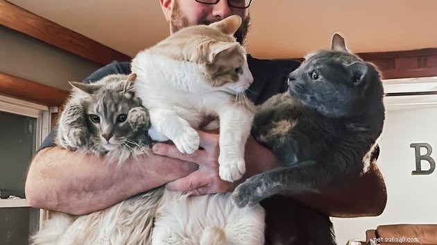 18 Classic Cat Expressions That Will Make You Laugh