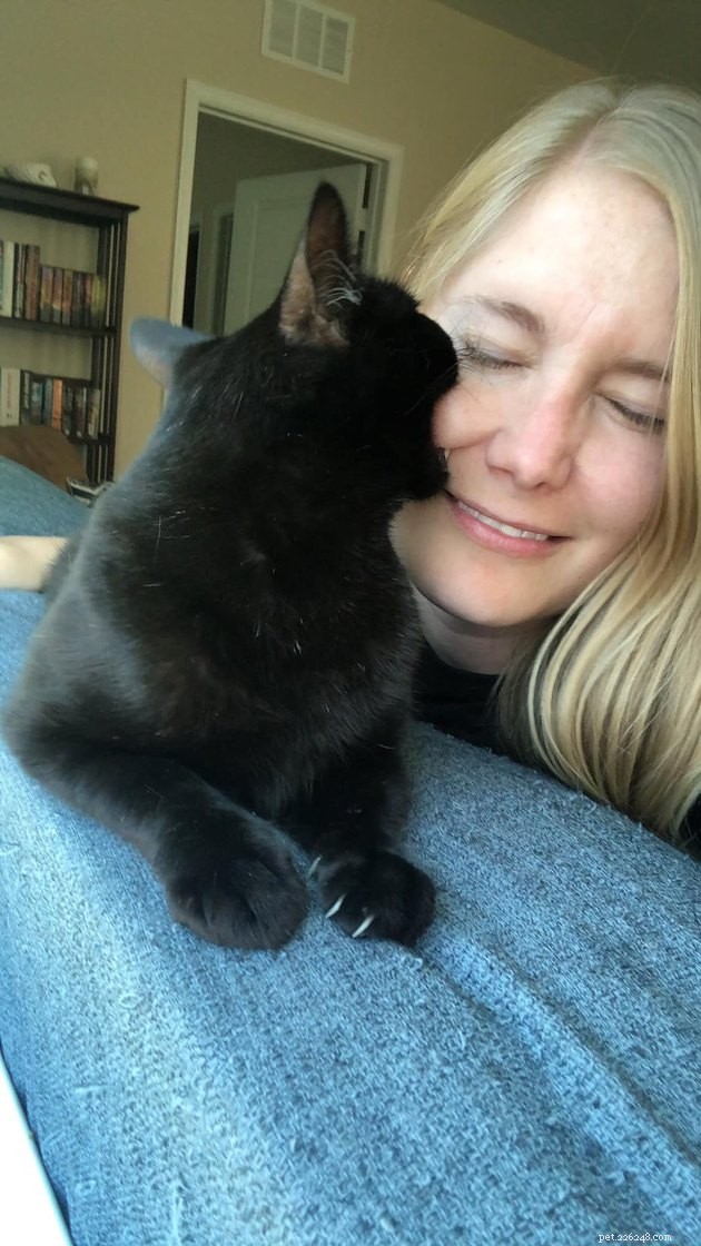 17 Cats Living Their Best Lives: Adorable & Inspiring Moments