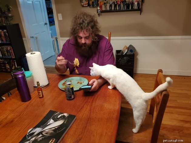 17 Pets That Notice When You Eat – Hilarious Signs of Hunger
