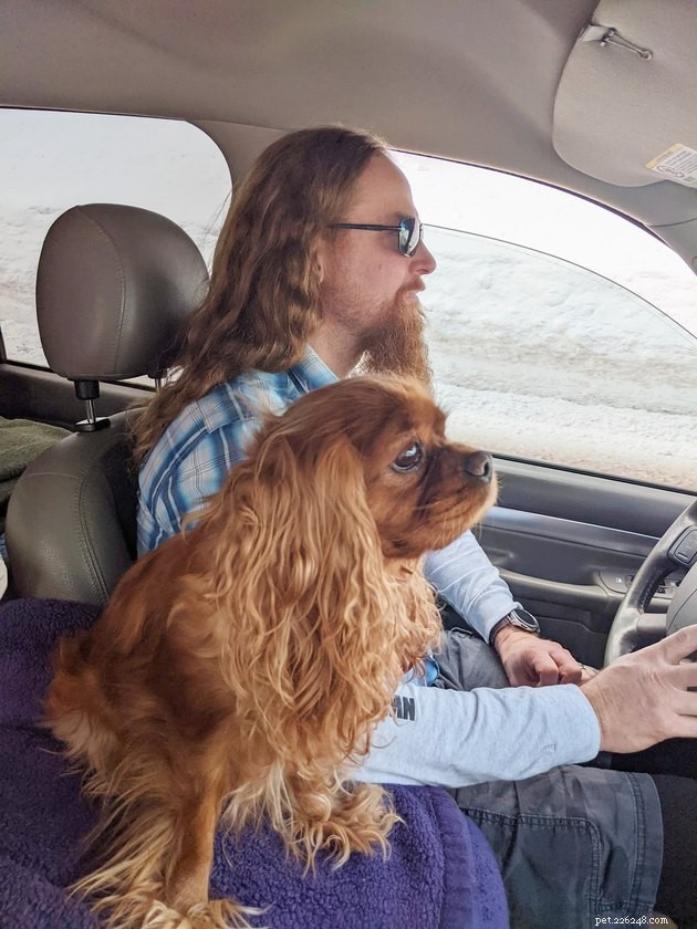 19 Hilarious Cat & Dog Photos That Will Keep You Laughing