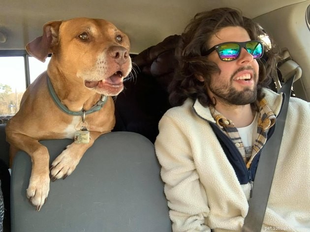19 Hilarious Cat & Dog Photos That Will Keep You Laughing