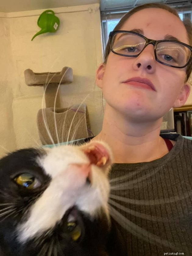 17 Adorable Cats That Keep Interrupting Your Zoom Meetings