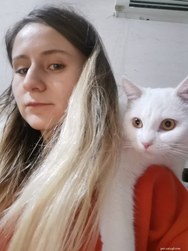 17 Adorable Cats That Keep Interrupting Your Zoom Meetings