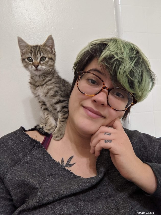 15 Key Lessons My New Kitten, Hobbes, Has Taught Me