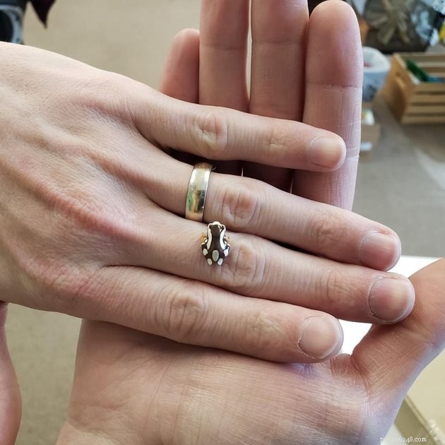 16 Charming Miniature Animals Captured on Fingers