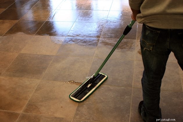 Are Swiffers Safe for Pets? A Guide to Pet-Friendly Cleaning