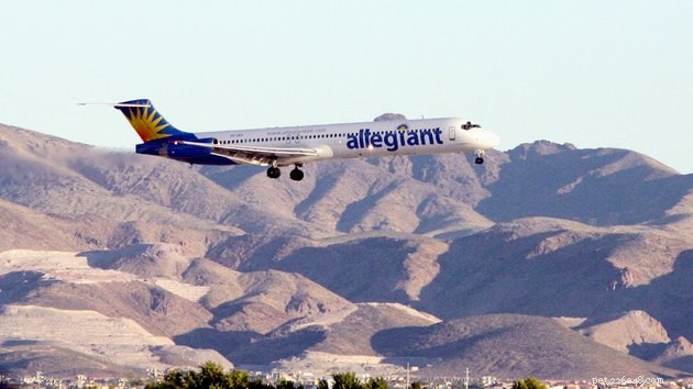 Ultimate Airline Pet Travel Guide: Policies, Tips, and FAQs