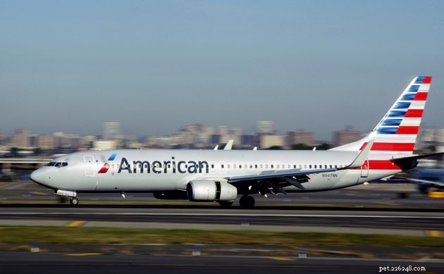 Ultimate Airline Pet Travel Guide: Policies, Tips, and FAQs
