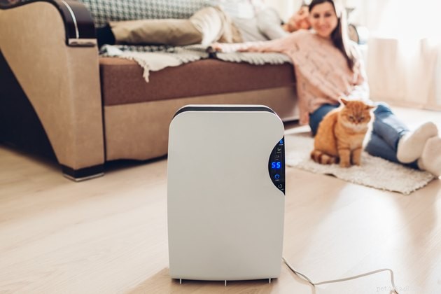 Pet-Friendly Air Purifiers: Safe and Effective Solutions