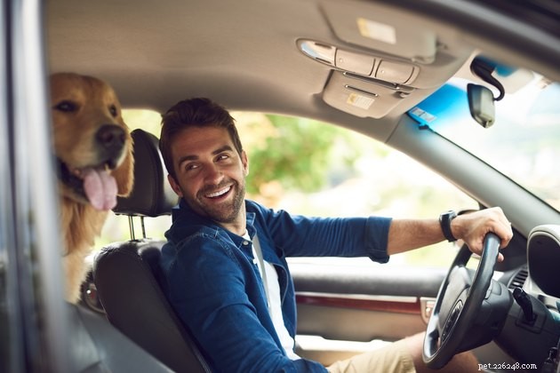 Can You Bring Your Pet on Uber or Lyft? Everything You Need to Know