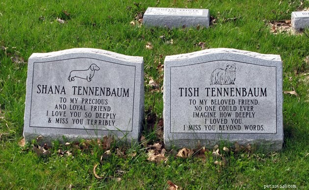 Coping with the Loss of a Beloved Pet: A Compassionate Guide