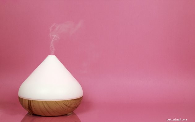 Essential Oil Diffusion Near Pets: Safety Tips for Pet Owners