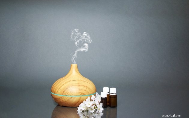 Essential Oil Diffusion Near Pets: Safety Tips for Pet Owners