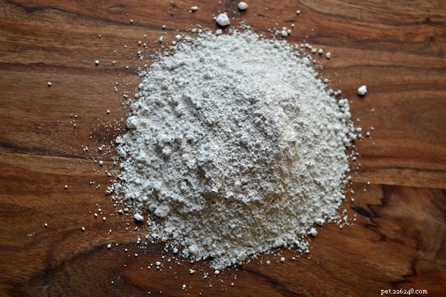 Is Diatomaceous Earth Safe for Pets? A Complete Guide