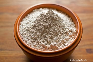 Is Diatomaceous Earth Safe for Pets? A Complete Guide