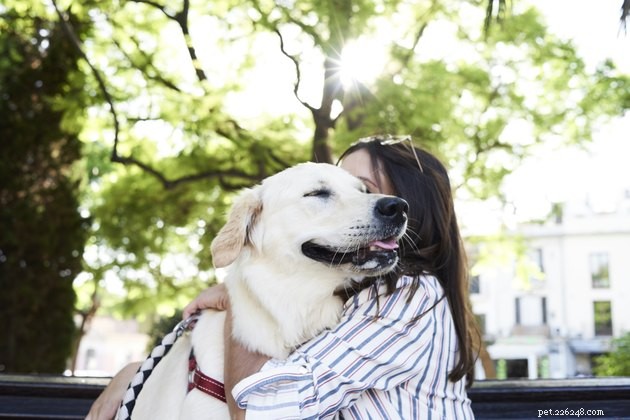 Critical Factors to Assess Before Surrendering Your Pet