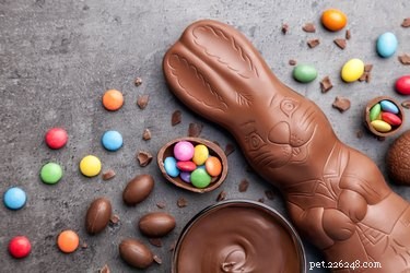 Safe Easter Leftovers for Pets: What to Share and What to Avoid