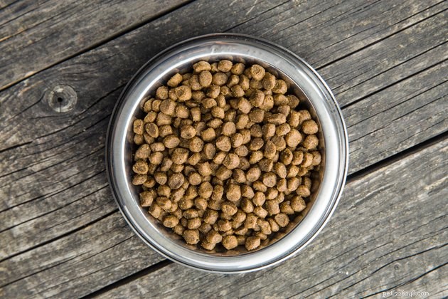 How Long Does Pet Food Stay Fresh? Expert Guide to Shelf Life and Storage
