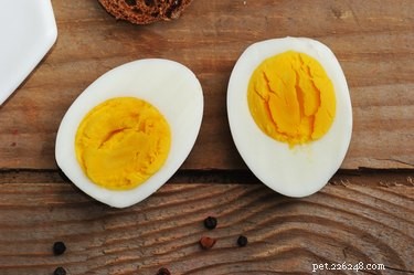 Safe Easter Leftovers for Pets: What to Share and What to Avoid