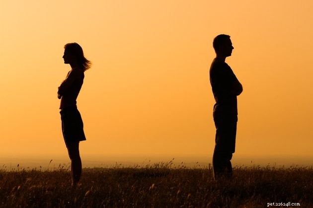 How Courts Determine Pet Custody in Divorce Cases
