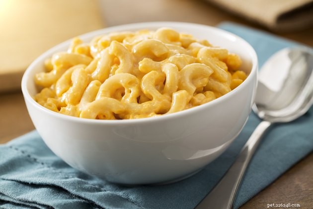 Safe Easter Leftovers for Pets: What to Share and What to Avoid