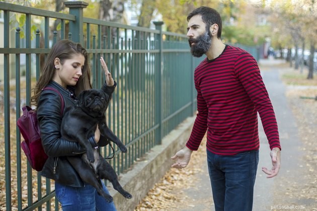How Courts Determine Pet Custody in Divorce Cases
