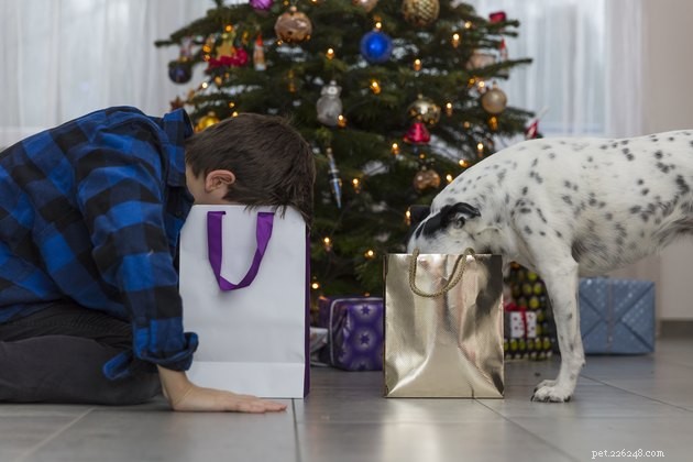 Celebrate the Holidays with Your Pets: Practical Tips for a Joyful Season