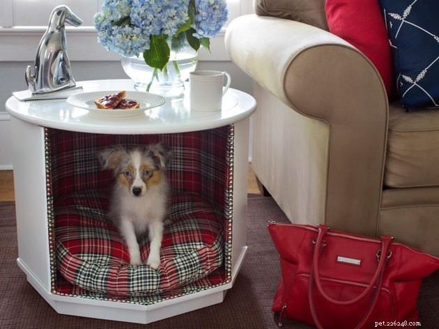 Create a Cozy Pet Retreat in Small Spaces: Expert Tips for Apartment Owners