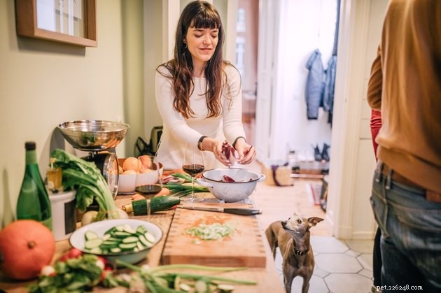 Predicted Pet Trends for 2019: What to Expect