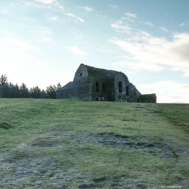 11 Famous Sites Rumored to Be Haunted by Animal Spirits