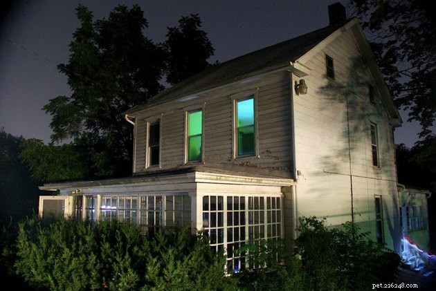 11 Famous Sites Rumored to Be Haunted by Animal Spirits