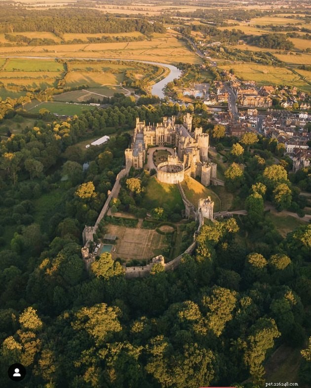 11 Famous Sites Rumored to Be Haunted by Animal Spirits