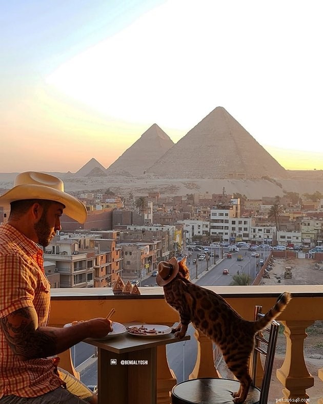 17 Hilarious Pet Photos Guaranteed to Make You Laugh