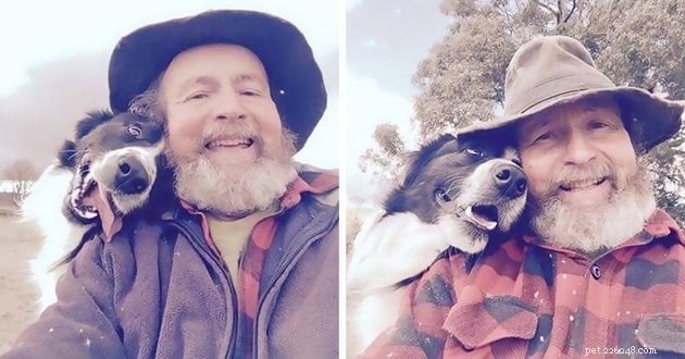 17 Adorable Cats & Dogs That Will Melt Your Heart