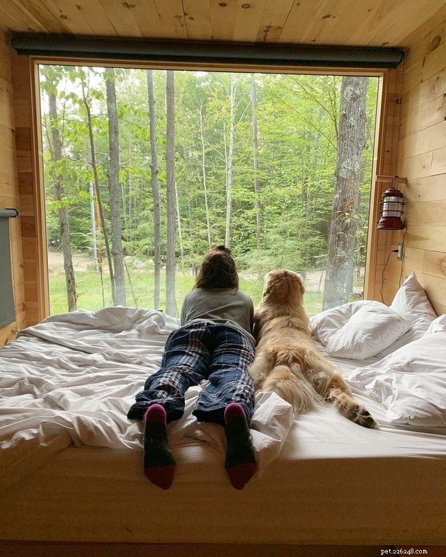 17 Adorable Cats & Dogs That Will Melt Your Heart