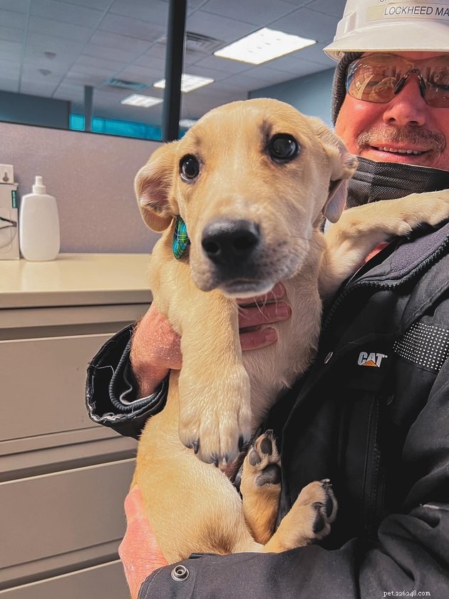 17 Pets That Can Help You Cope With Uncertain Times