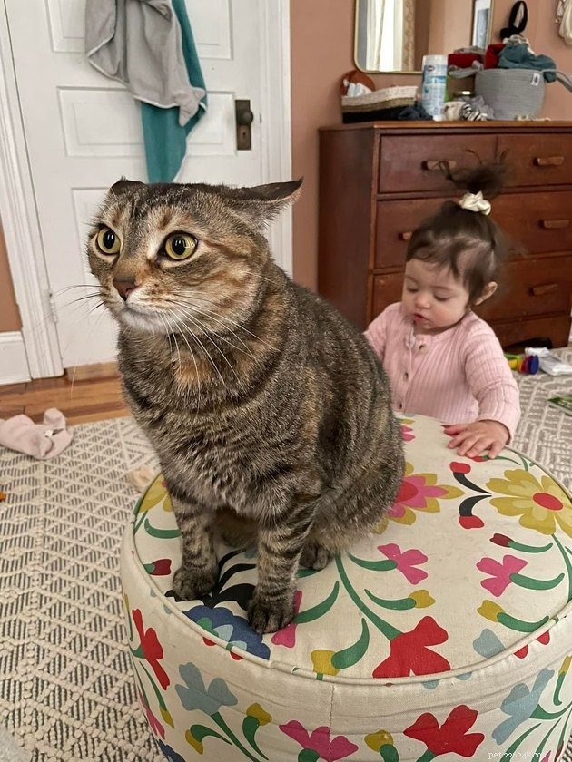 17 Pets That Can Help You Cope With Uncertain Times