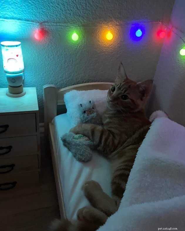 17 Uplifting Pet Photos to Brighten Your Day