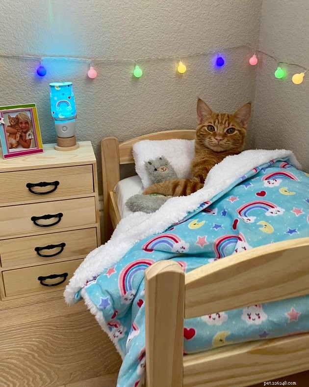 17 Uplifting Pet Photos to Brighten Your Day