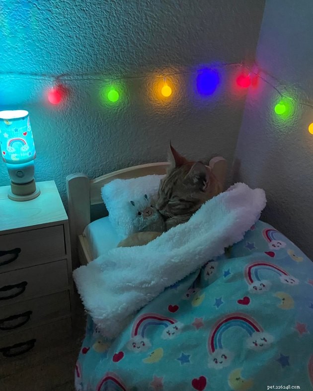 17 Uplifting Pet Photos to Brighten Your Day