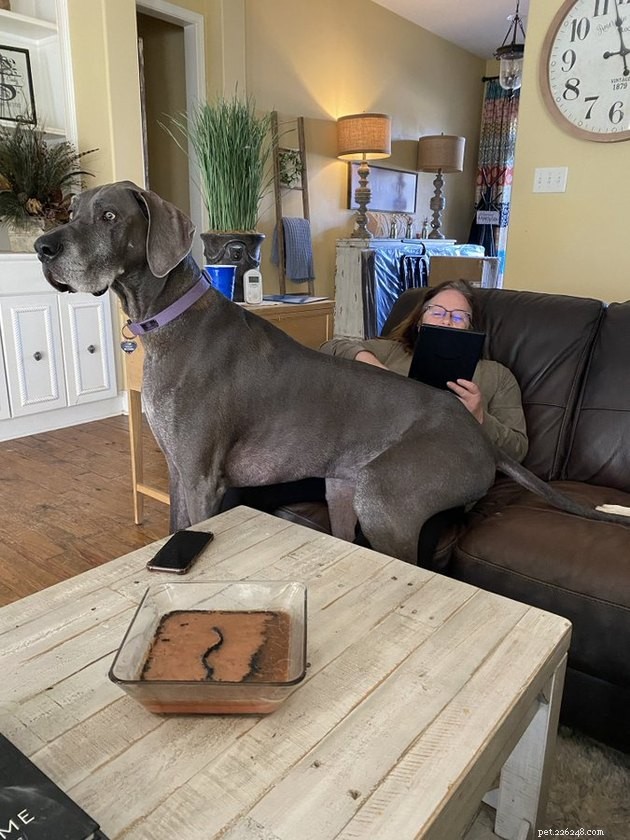 17 Heartwarming Pet Photos Guaranteed to Brighten Your Day