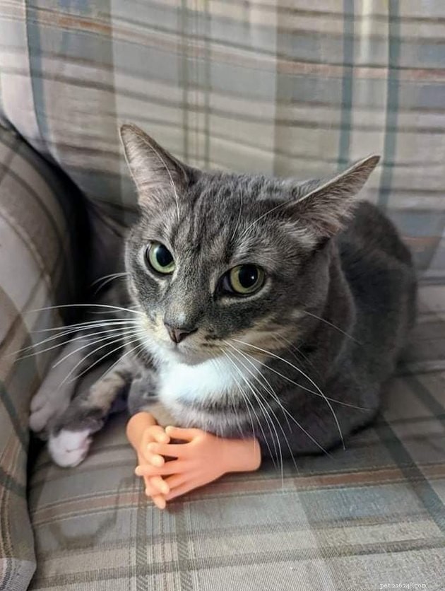 17 Heartwarming Pet Photos Guaranteed to Brighten Your Day