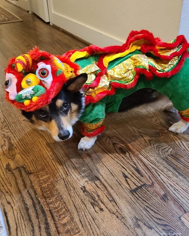 17 Heartwarming Pet Photos Guaranteed to Brighten Your Day