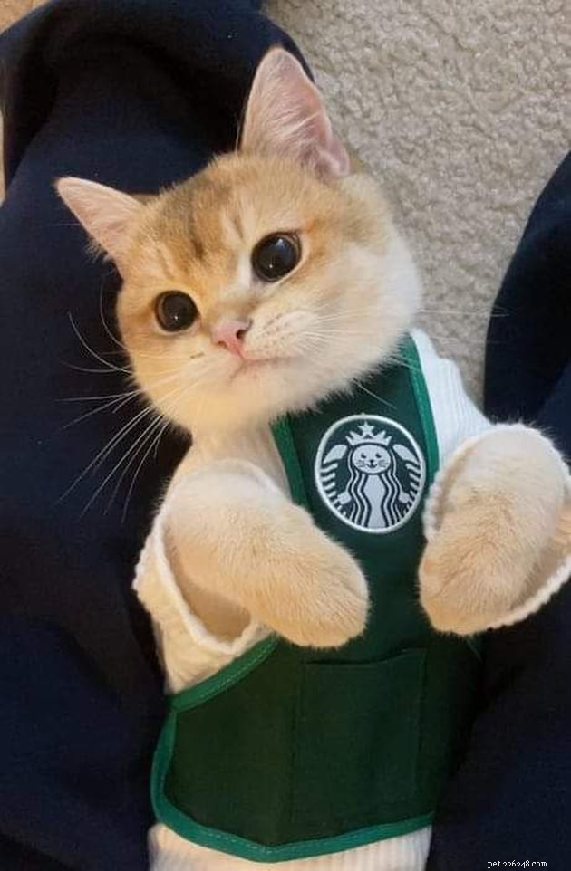 17 Heartwarming Pet Photos Guaranteed to Brighten Your Day