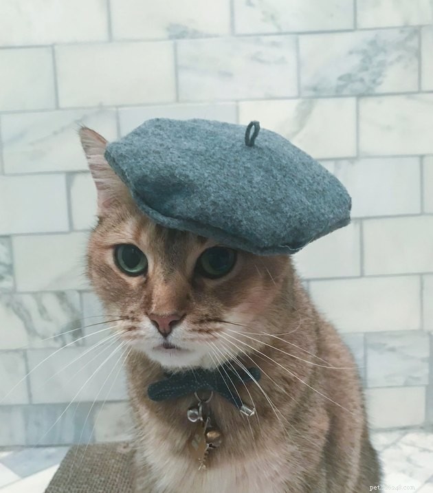 17 Heartwarming Pet Photos Guaranteed to Brighten Your Day